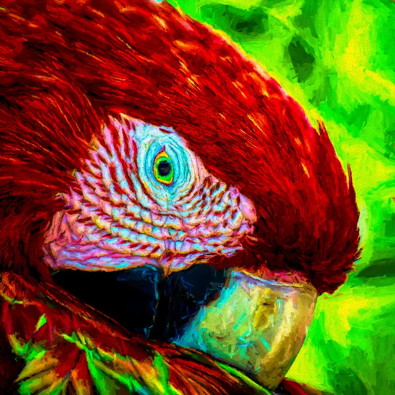 Guacamaya | Canvas – 30" x 30".