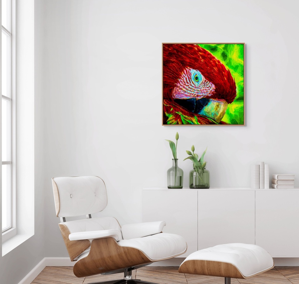 Guacamaya | Canvas – 30" x 30".