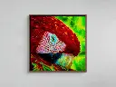 Guacamaya | Canvas – 30" x 30".