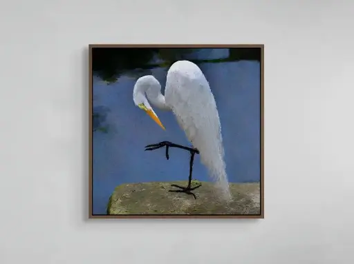 Balance | Canvas–30" x 30".